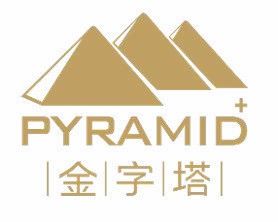 深圳市金字塔健康咨詢 專業(yè)健康管理技術咨詢服務